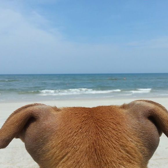 Meet your Posher, Coleen - Picture 1 of 1